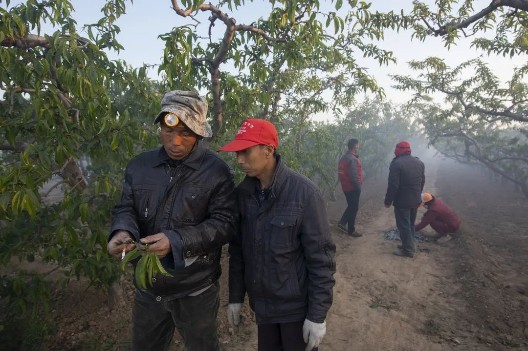 蹲守地头_新绛影像