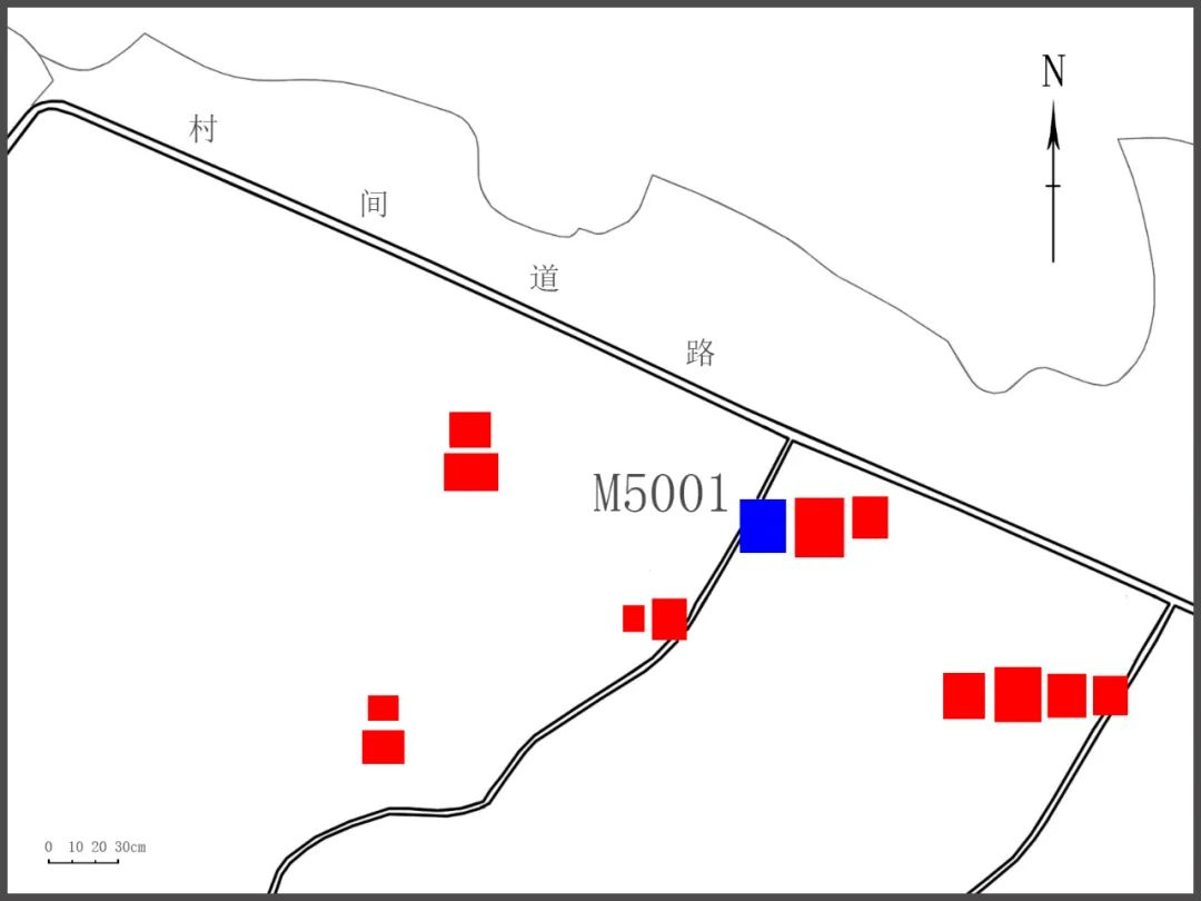 闻喜邱家庄墓地M5001及东周大型墓葬位置分布图_闻喜影像