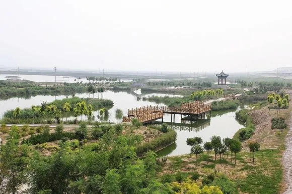10年前的盐湖湿地公园_盐湖影像