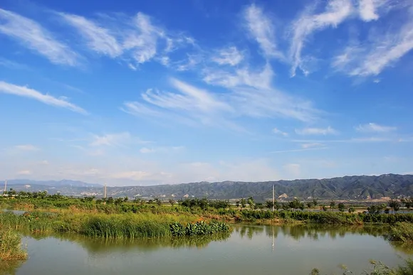 10年前的盐湖湿地公园_盐湖影像