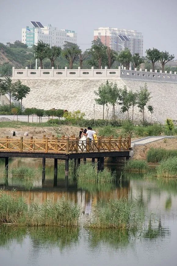 10年前的盐湖湿地公园_盐湖影像