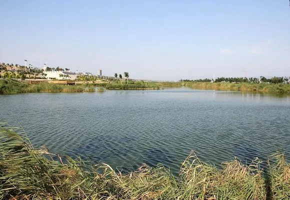 10年前的盐湖湿地公园_盐湖影像