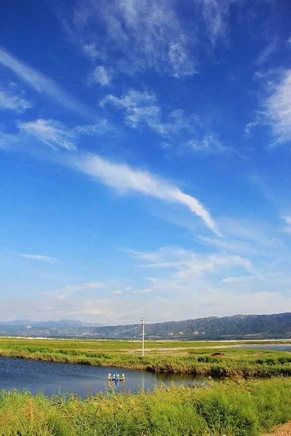 10年前的盐湖湿地公园_盐湖影像