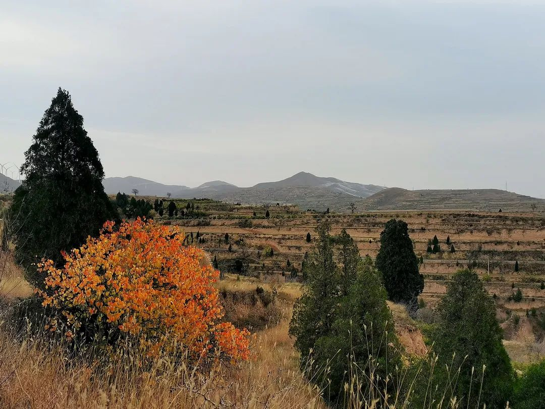 山村冬野_盐湖影像