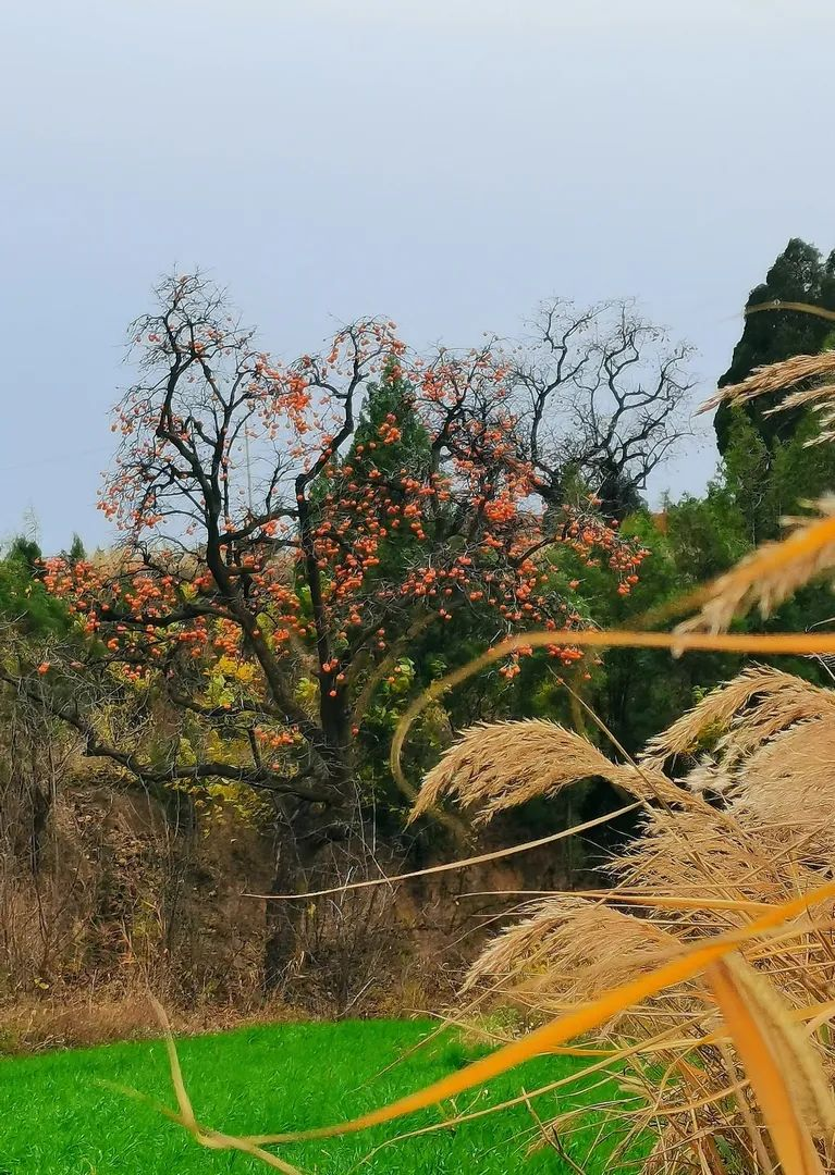 山村冬野_盐湖影像