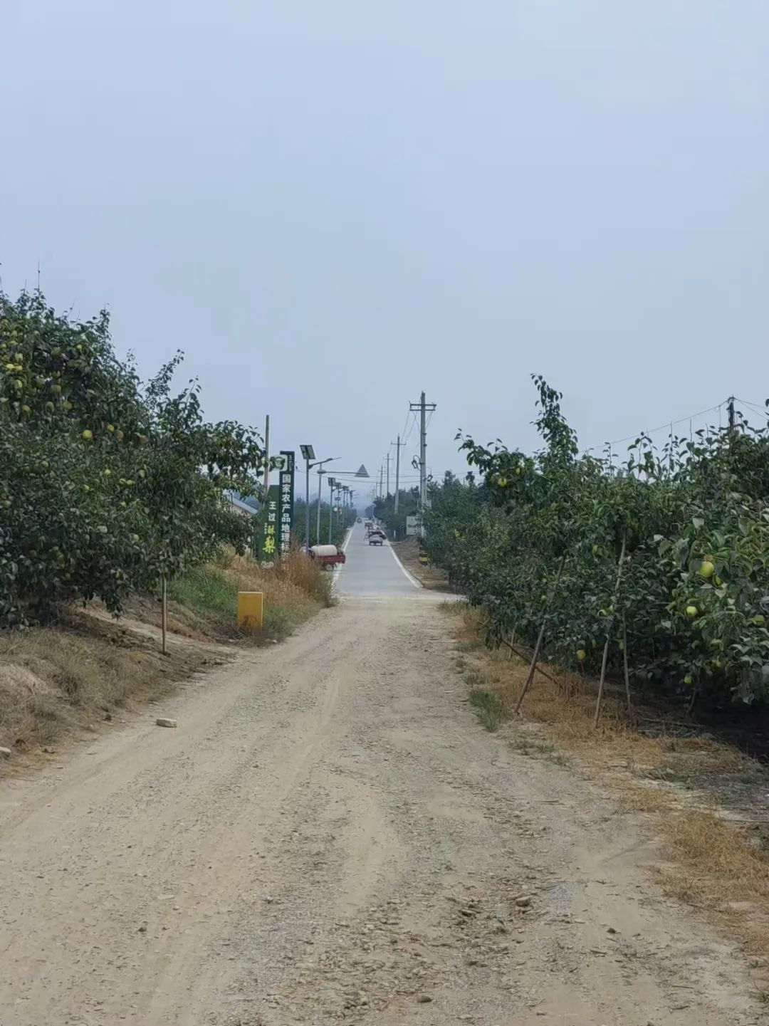 森林村庄王过村_盐湖影像