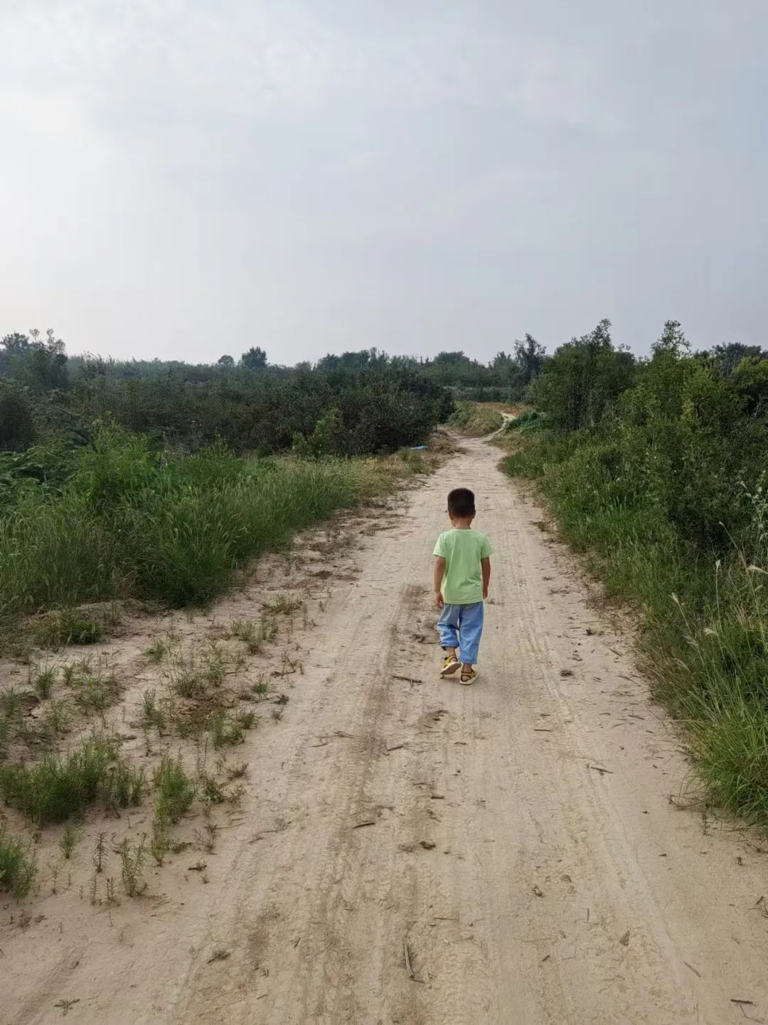 森林村庄王过村_盐湖影像