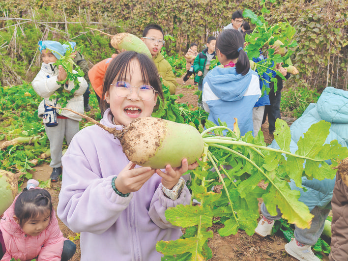 孩子们在孤峰山西麓体验农耕“寻味·童年”