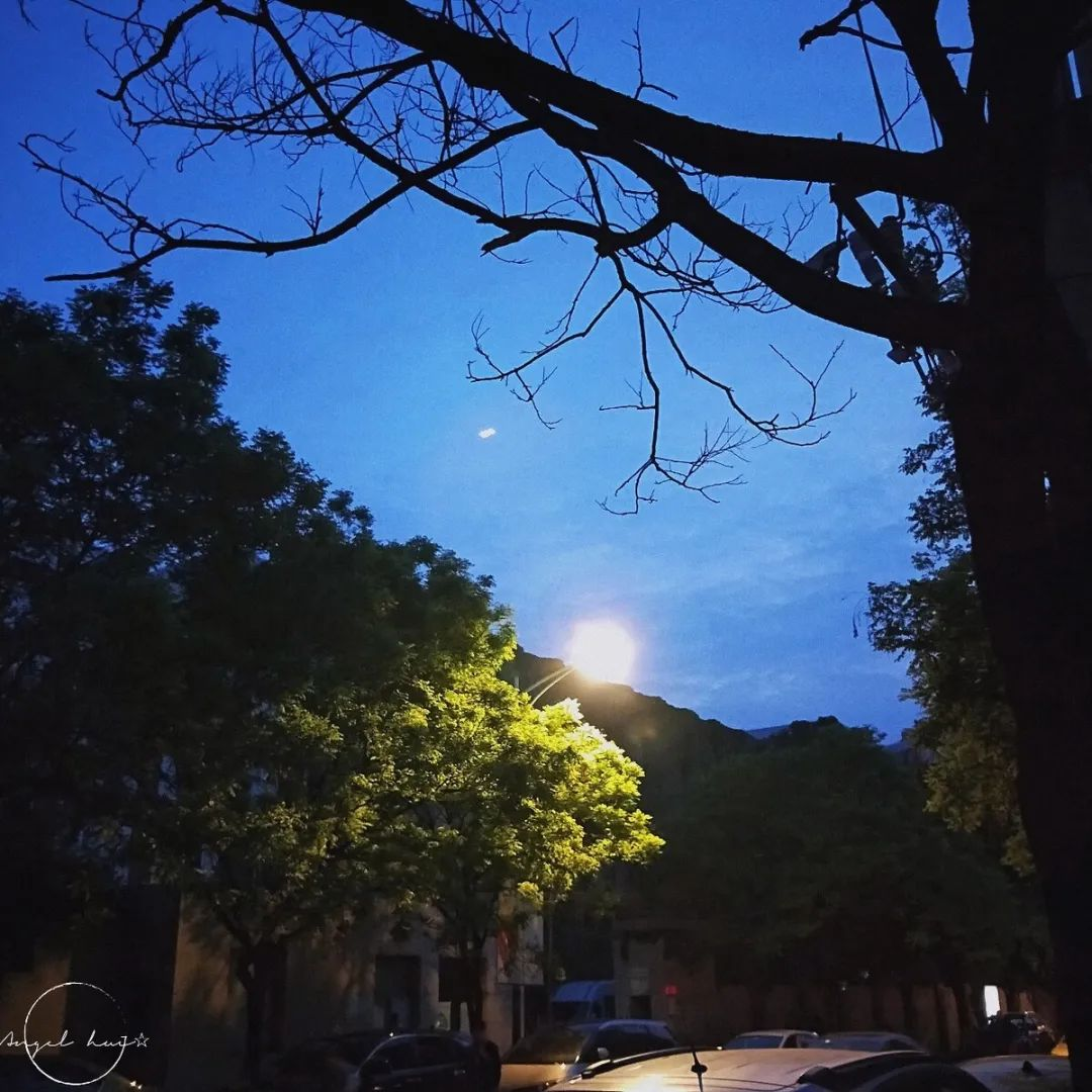智慧果_小说_李英利
