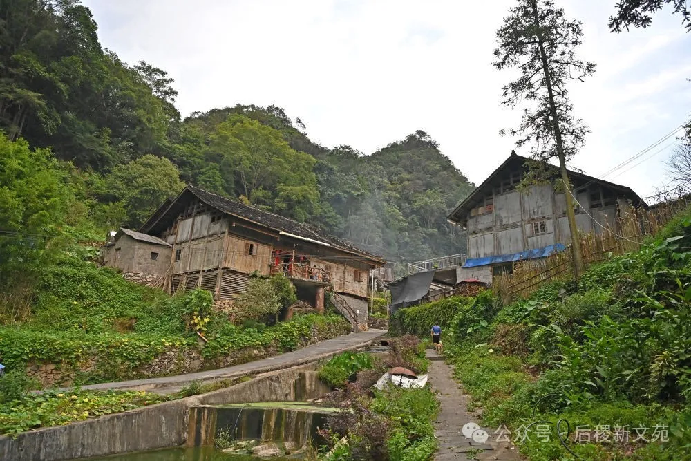 田野与乡愁_散文_稷山 苏美文