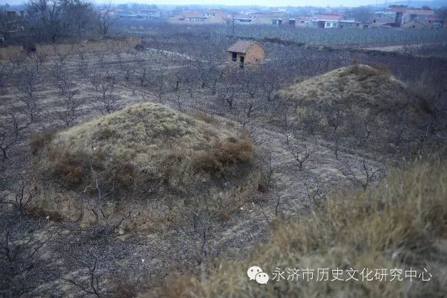 伯夷叔齐首阳采薇_认知首阳