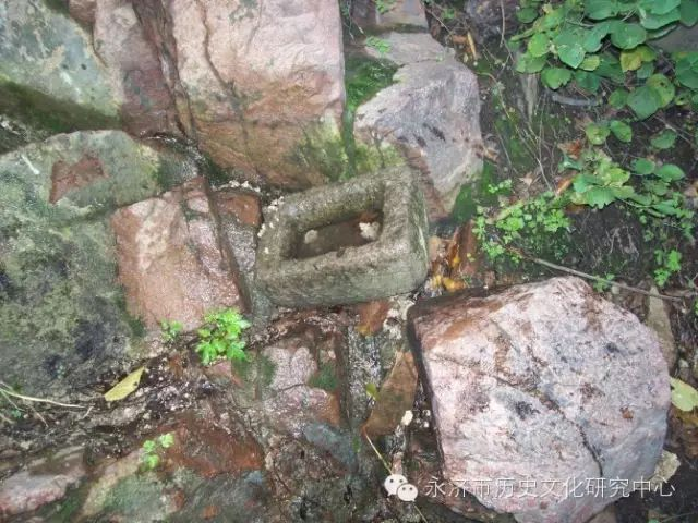 郭李乡——莎罗树下听风雨