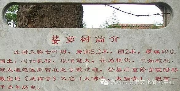 郭李乡——莎罗树下听风雨