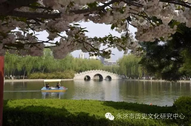 千朵万朵压枝低_永济影像