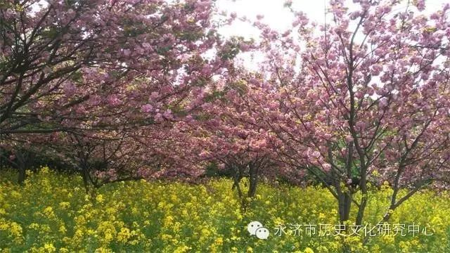 生来富贵_永济影像