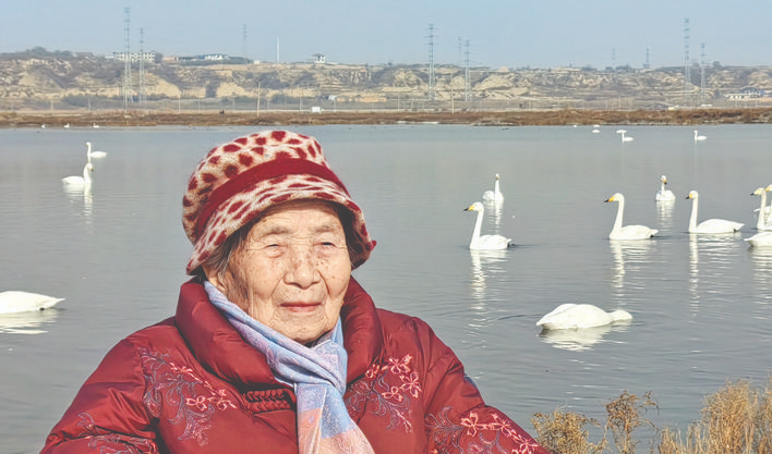 陪妈盐湖观天鹅_散文_李自强
