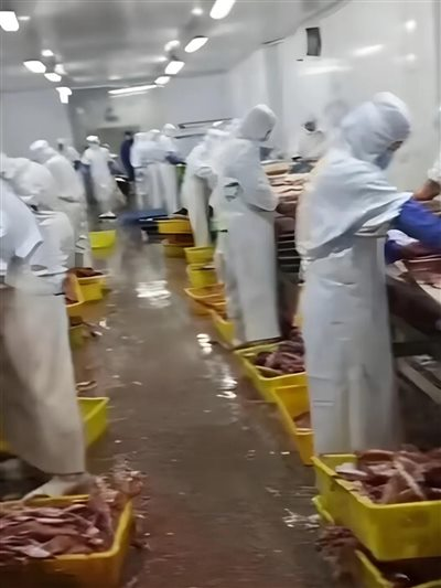劳动法规——高楼背后有阴影，霓虹灯下有血泪