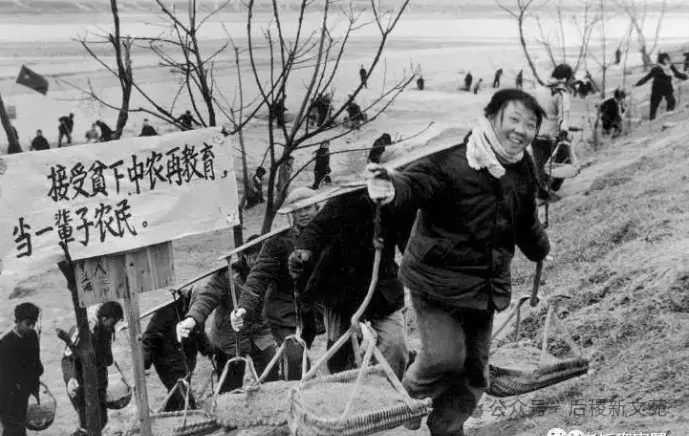 村里来了北京知识青年_散文_杨建国