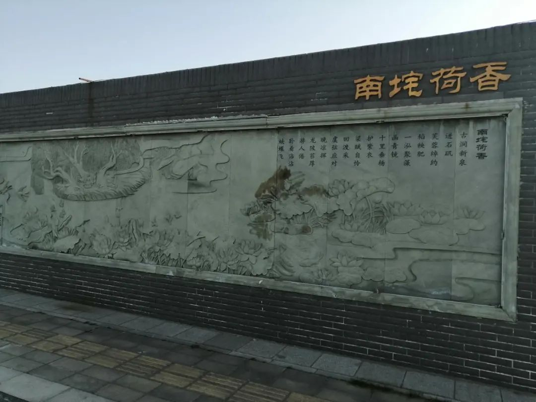 南垞荷香_临猗十八景