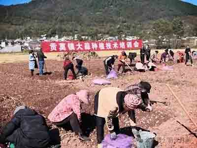 大蒜做梦也没想到，竟然能对威胁美国