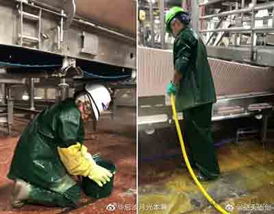 大蒜做梦也没想到，竟然能对威胁美国