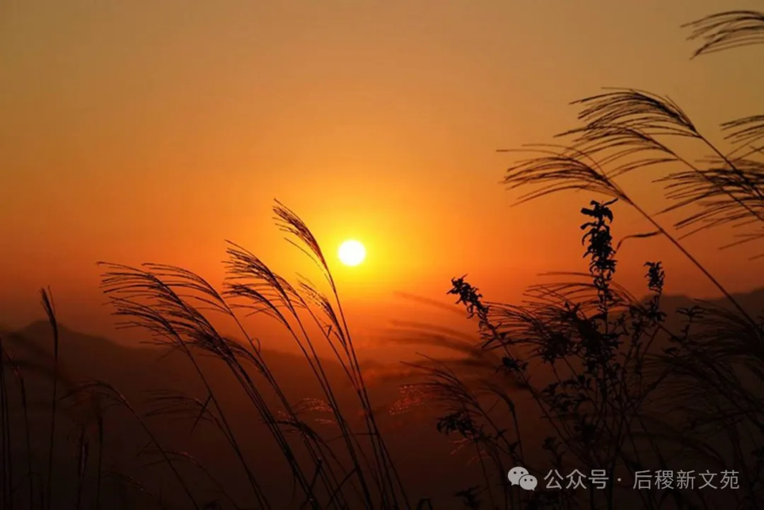 夕阳无限好_诗_王晓霞