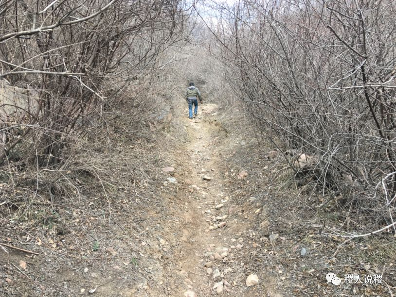 先有法宝寺，后有稷山县