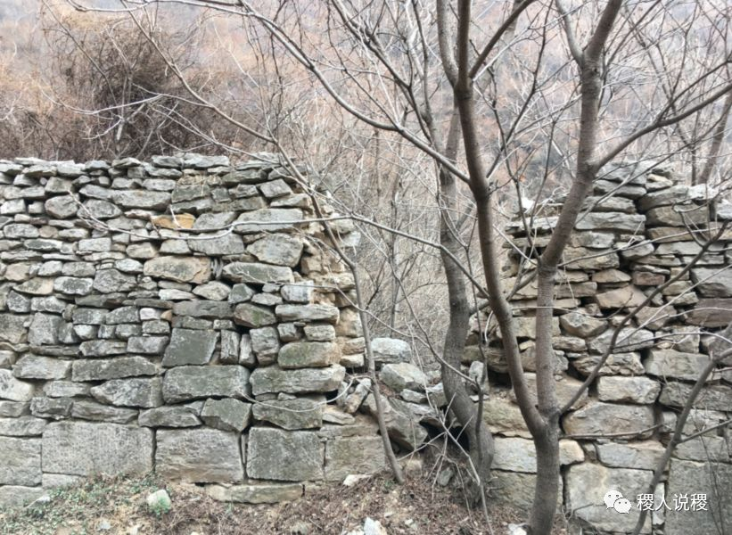 先有法宝寺，后有稷山县