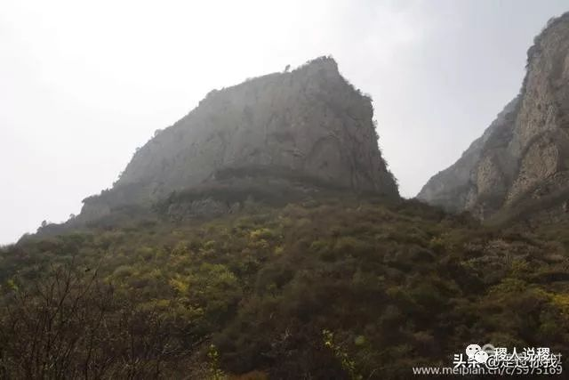 先有法宝寺，后有稷山县