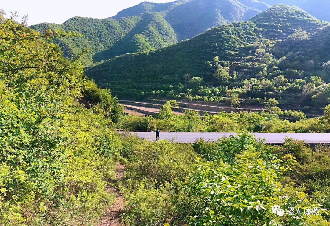 马趵泉风景_稷山影像