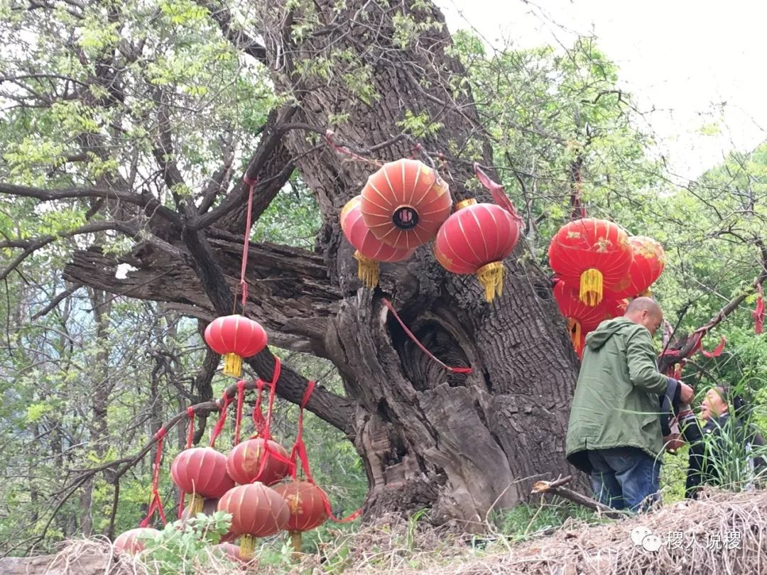 马趵泉风景_稷山影像