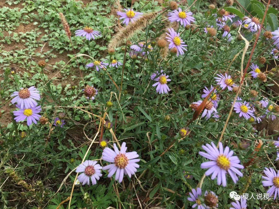 红色革命教育基地_稷山影像