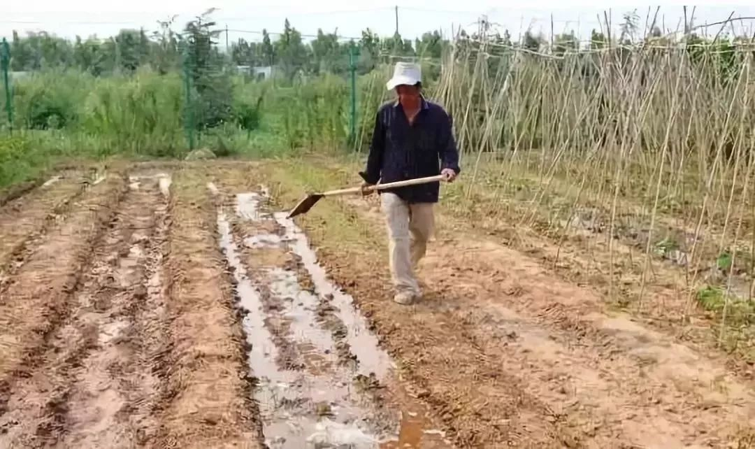 浇地_农村影像