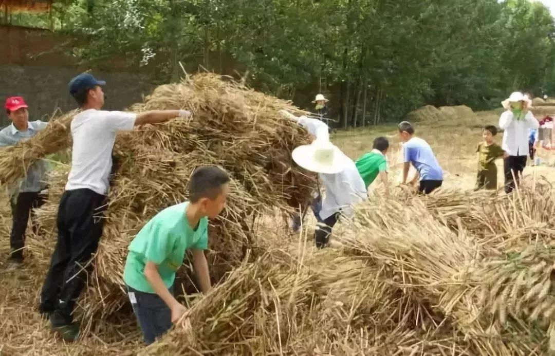 打麦场是孩子的乐园_农村影像