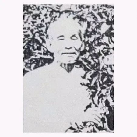 赵银平——古虞苹果人 （下）