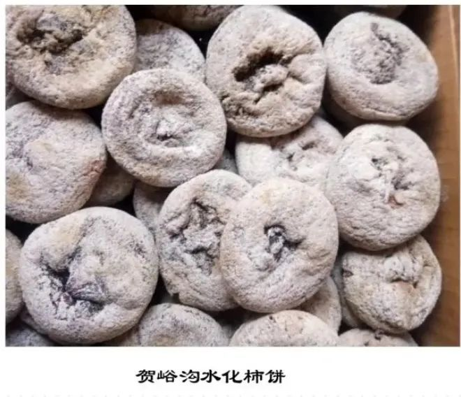 东锥子山下贺峪沟的柿子林