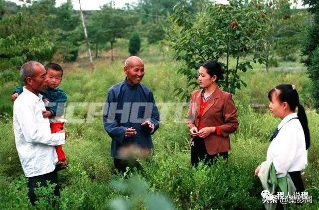 马村段仁保老人向游客介绍砖雕墓地_稷山影像