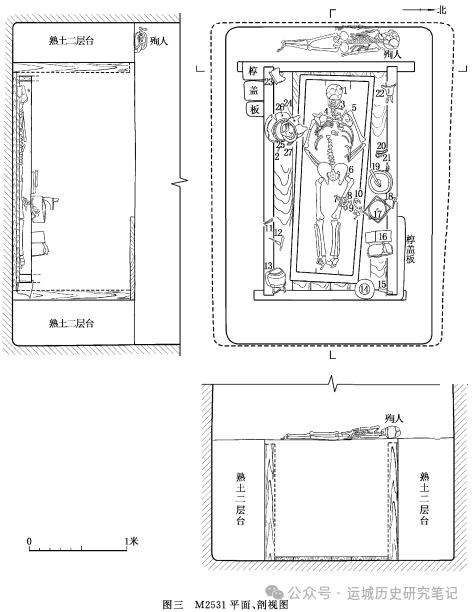 绛县横水西周倗国墓地M2531葬者的特殊之处