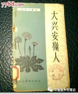 插班生慧慧
