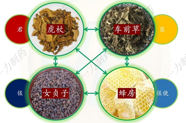 虎贞清风胶囊：以自然之力，享自由之风