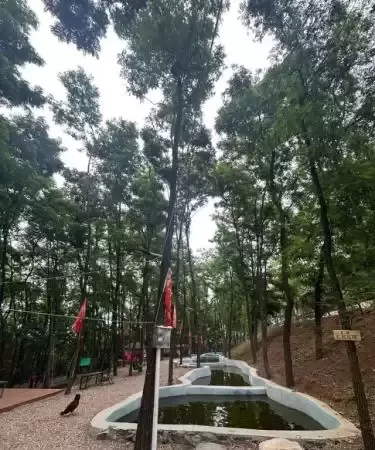茶山邂逅陈记庄园_散文_吉秀珍