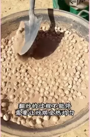 吃炒琪_河东陈记获奖征文_李水仙