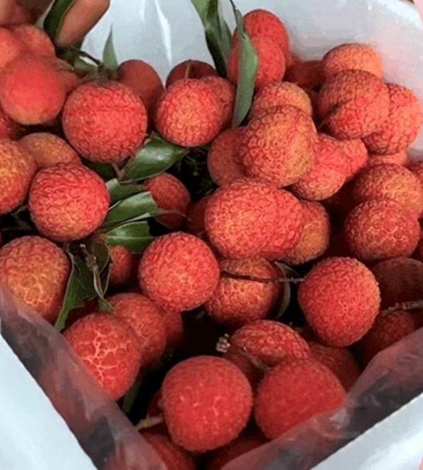 盛夏限定丨白糖罂荔枝上市，纯甜无酸，i百联火热开售！