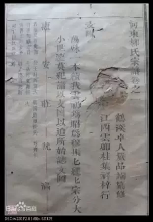 河东柳氏：千年望族的起源与传承