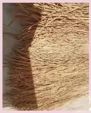 秦家埝村看柳编