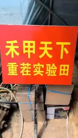 禾甲天下微生物菌肥实验田