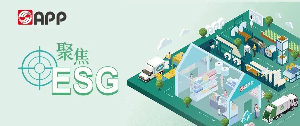 制浆造纸公司标杆！APP（中国）2024年可持续发展暨ESG报告太亮眼