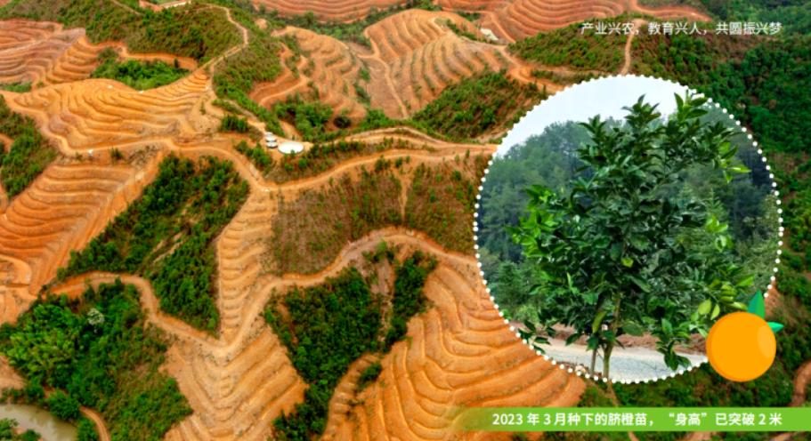 制浆造纸公司标杆！APP（中国）2024年可持续发展暨ESG报告太亮眼