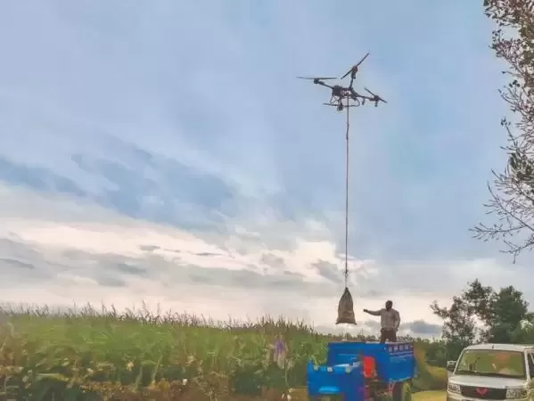 地面难行，空中吊运！平陆无人机“兜底”秋收