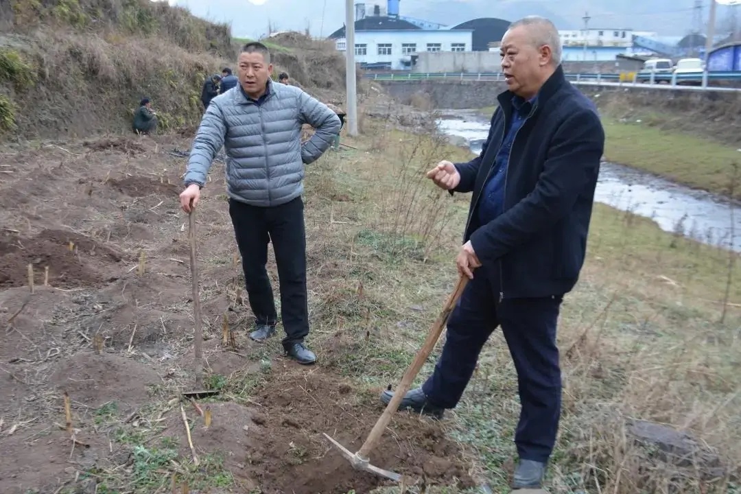 看了张宏甲重磅新书《走向乡村振兴》他们这么说，想买？